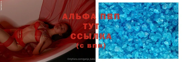 крисы Алзамай