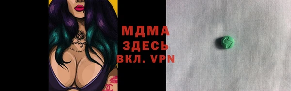 ГАЛЛЮЦИНОГЕННЫЕ ГРИБЫ Михайлов