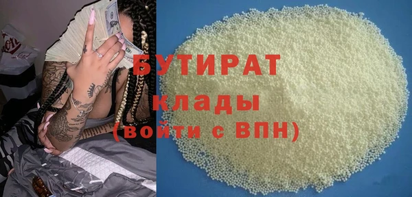 индика Михайловск