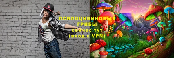 шишки Алексин