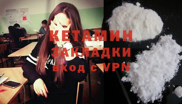 крисы Алзамай
