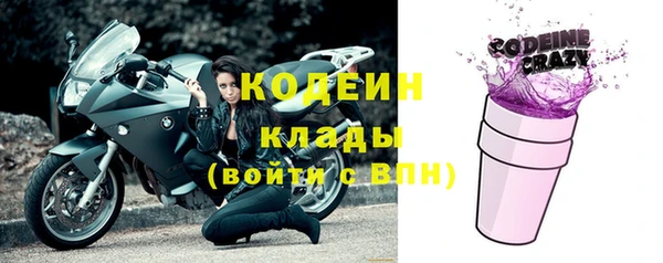 ГАЛЛЮЦИНОГЕННЫЕ ГРИБЫ Михайлов