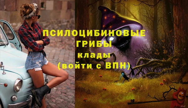 спайс Алексеевка